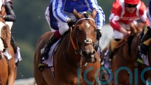 Cheshire sights set on York date for Golden Rules