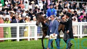 Snellen seeking to make Debutante impact