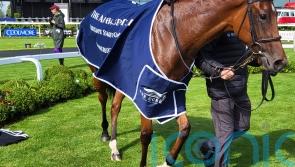 Vespertilio sheds maiden tag with stylish Debutante success