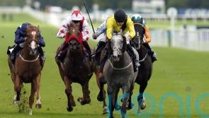 Desperate Hero delights Channons with Newbury win