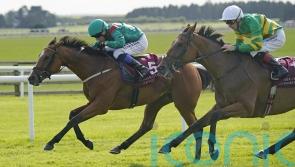 Shamida emerges as a staying filly to follow