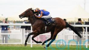 Paddington and company all set for a battle royal on the Knavesmire