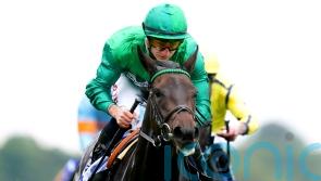 Relief Rally rewards favourite-backers in Lowther