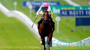 Nostrum primed to show star potential once more