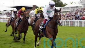 Epictetus back in search of further Goodwood gains