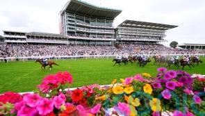 More sales race gold on the agenda for Dragon Leader