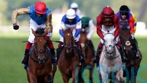 Gregory team maintain St Leger faith despite York defeat