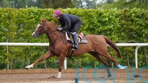 Pipe eyeing Cesarewitch date with new recruit Wordsworth