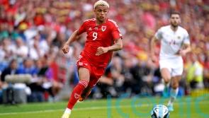 Rob Page backs Brennan Johnson to fill void left by Harry Kane at Tottenham