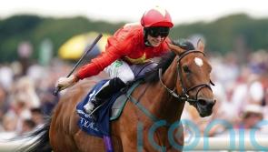Highfield Princess looking to fly high in Curragh defence
