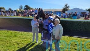 Clever And Cool claims Fairy Bridge prize