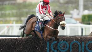 Neville has much to look forward to with The Real Whacker