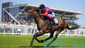 Snowden excited to have Reach For The Moon to go jumping