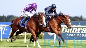 Diego Velazquez stays unbeaten at Leopardstown