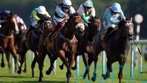 Sprint Cup hero Regional puts Ed Bethell in wonderland