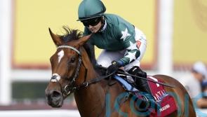 Nashwa team turning thoughts to Champions Day &lsquo;end game&rsquo;