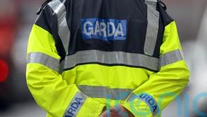 Body-worn cameras have potential to &lsquo;transform policing&rsquo; in Ireland, says Garda