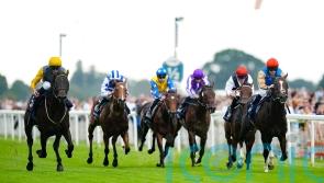 ParisLongchamp the next stop for Ballymount Boy