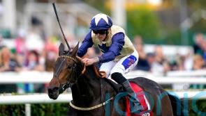 Darnation too good for May Hill rivals