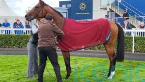 Military strikes on Naas debut