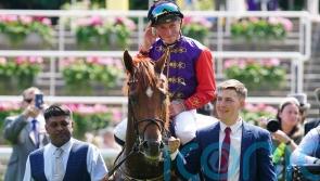 Marquand fully focused ahead of Desert Hero&rsquo;s St Leger date