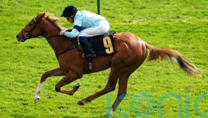 Newmarket date on Soprano&rsquo;s agenda