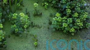 'Treated like a dump and cess pit' -&nbsp;Environmentalists carry coffin to Ireland's largest lake