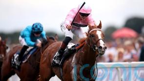 Keeneland prep for Breeders&rsquo; Cup hope Live In The Dream