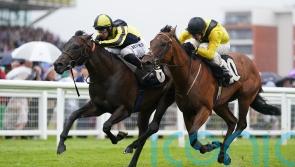 Mister Sketch to kick off Wathnan career in Mill Reef