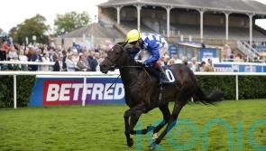 Cotter hands Matilda Picotte Newmarket Challenge