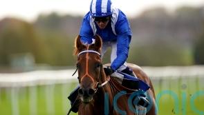 Aldaary faces challenge from within his own camp at Newbury