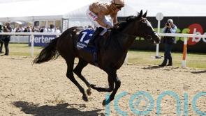 Sense Of Duty makes long-awaited return in Trophy test