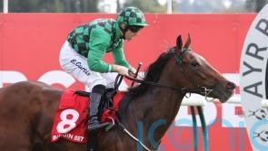 Prime Art paints a pretty picture for Murtagh and Curtis