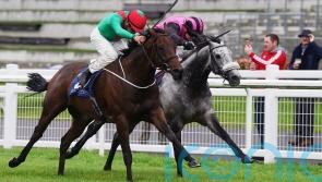 Go Athletico on target in Renaissance Stakes