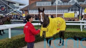 Setback scuppers Grand Alliance&rsquo;s Cadran hopes