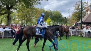 Big Rock on course for QEII date at Ascot