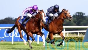 Moore and O&rsquo;Brien believe Capulet has solid Royal Lodge credentials