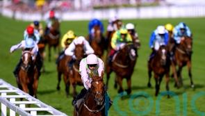 Vauban settles in well ahead of Melbourne Cup tilt