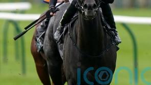 Dewhurst ruled out for Vandeek, with sprinting campaign next season