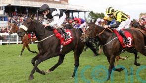 Significantly team favouring York run