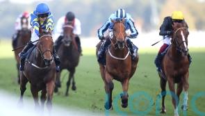 Conditions key to Ellison&rsquo;s plan for back-to-form Tashkhan