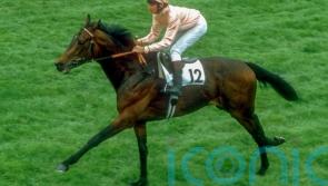 Steve Cauthen and Pebbles given Hall of Fame honours