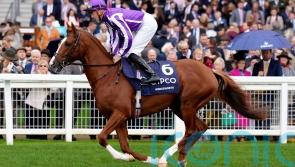 Classic-placed Wordsworth off the mark for Pipe over hurdles