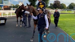 Hayley Turner moves closer to landmark 1,000th winner