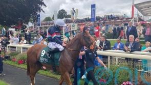 Dragon Leader on the hunt for another big pay day at Redcar