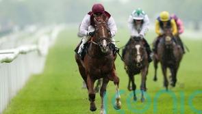 Zoulu Chief primed to blaze a trail at Newmarket again