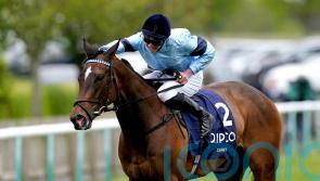 Boughey pays tribute to Cachet as Guineas winner is retired