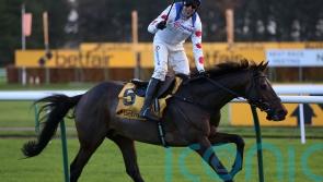 Skelton eyeing Betfair Chase repeat with Protektorat