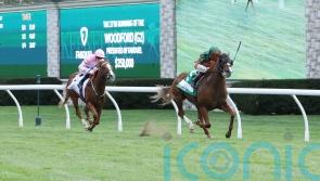 West thrilled with Live In The Dream&rsquo;s Breeders&rsquo; Cup prep