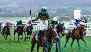A Dream To Share all set for jumping bow at Punchestown